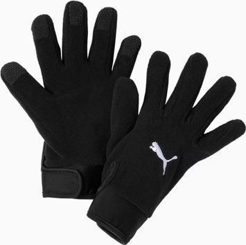 Рукавички Puma teamLIGA 21 Winter gloves чорний M/L 041706-01