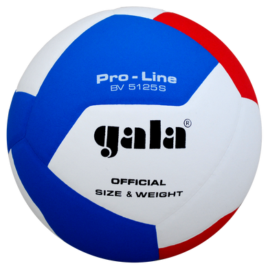 М'яч волейбольний Gala Pro-Line BV5125S BV5125S