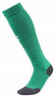 Гетри Puma Team LIGA Socks зелений Уні  703438-05