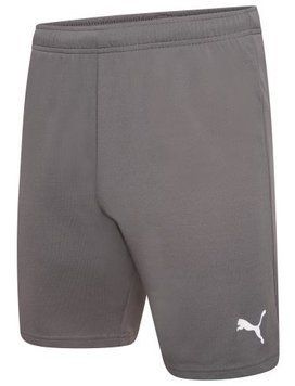 Шорти Puma teamRISE Short сірий XXL 704942-13