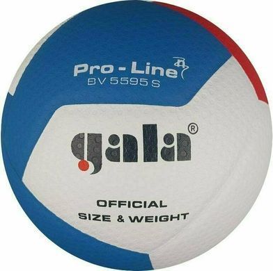 М'яч волейбольний Gala Pro-Line 12 FIVB BV5595S BV5595S