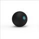 Медбол LivePro SLAM BALL LP8105-12 фото 2
