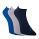 Шкарпетки Head SNEAKER 3PPK UNISEX синій, сірий, темно-синій Уні 35-38 00000011716 фото 2