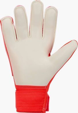 Вратарские перчатки Nike NK GK MATCH JR-HO24 красный, белый 8 (21,6 см) (HQ0258-635) HQ0258-635