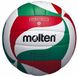М'яч волейбольний Molten V5M1900 V5M1900 фото 1