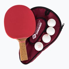 Набір для настільного тенісу Donic-Schildkrot Gift Set Persson 600 788450