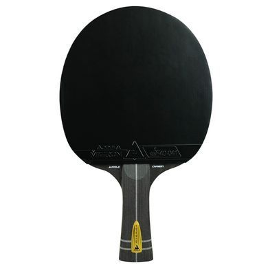 Ракетка для настільного тенісу Joola Infinity Carbon rakjol21