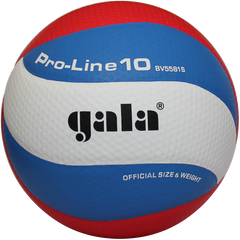 Мяч волейбольный Gala Pro-Line 10 BV5581S BV5581S
