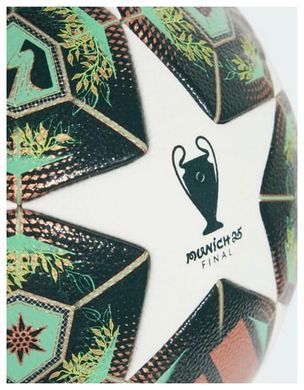 Мяч футбольный Adidas UCL COM белый Уни 5 JH1288