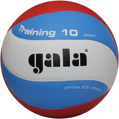 Мяч волейбольный Gala Training 10 BV5561S BV5561S