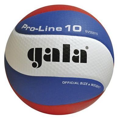 Мяч волейбольный Gala Pro-Line 10 BV5581S BV5581S