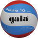 Мяч волейбольный Gala Training 10 BV5561S BV5561S фото 1