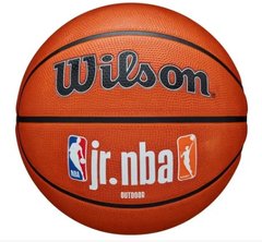 М'яч баскетбольний Wilson JR NBA FAM LOGO AUTH OUTDOOR BSKT size 7 WZ3011801XB7