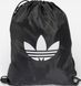 Рюкзак Adidas ADICOLOR GS 16L черный 47,5 x 37,5 см JX0229 фото 1