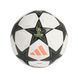 Футбольний м'яч adidas UCL PRO 24/25 Group Stage IS7438 IS7438 фото 2