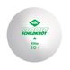 Мячі для настільного тенісу Donic 1-Star Elite ball Poly 40+ 608511 фото 2