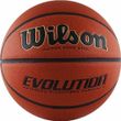 Баскетбольні м'ячі WILSON