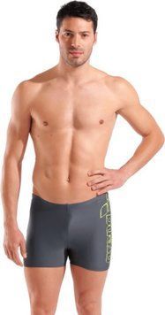 Плавки-шорти для овіків Arena SCRATCHY SWIM SHORT сірий 80 010281-560