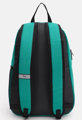 Рюкзак Puma teamGOAL Backpack Core 17L черный, зелёный Уни 28x14x43 см 00000029075