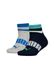 Шкарпетки Puma BOYS QUARTER 2P STRIPE темно-синій, сірий Діт 39-42 00000009523 фото 1