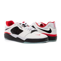 Кросівки Nike SB ISHOD PRM L DZ5648-100