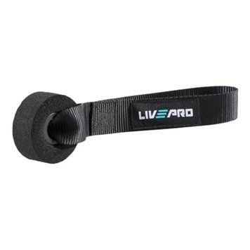 Фіксатор для еспандера LivePro DOOR ANCHOR LP8403