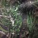 Пончо Camotec Pilgrim Tricot 2480 фото 8