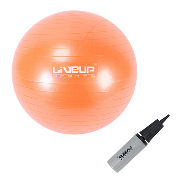 Фитбол (насос в комплекте) LiveUp ANTI-BURST BALL LS3222-65o