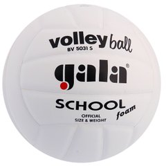 Мяч волейбольный Gala School Foam BV5031S