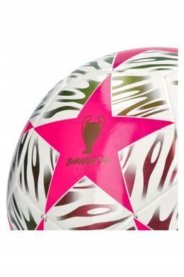 Футбольний м'яч Adidas UCL Club 25/26 Budapest JX9094, розмір №4 JX9094_4