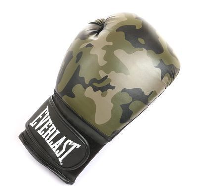 Боксерские перчатки Everlast SPARK TRAINING GLOVE черный, коричневый Уни  P00002413