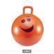 Фітбол дитячий з ручкою LiveUp HOPPING BALL LS3220 фото 1