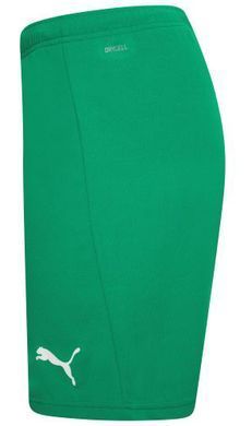 Шорти Puma teamRISE Short зелений Чол XL 704942-05