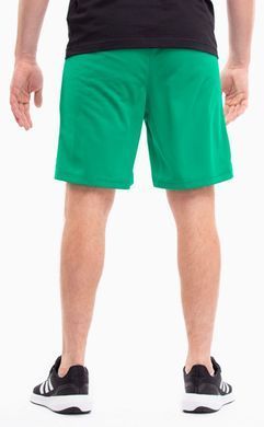 Шорти Puma teamRISE Short зелений Чол XL 704942-05