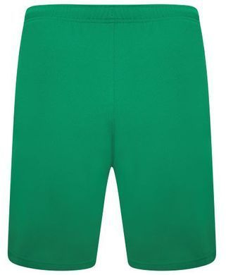 Шорти Puma teamRISE Short зелений Чол XL 704942-05