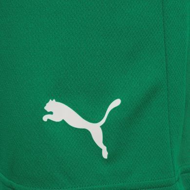Шорти Puma teamRISE Short зелений Чол XL 704942-05