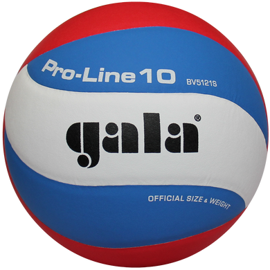 Мяч волейбольный Gala Pro-Line BV5821S BV5821S