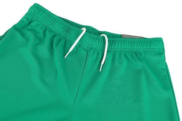 Шорти Puma teamRISE Short зелений Чол XL 704942-05