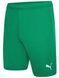 Шорти Puma teamRISE Short зелений Чол M 704942-05 фото 1