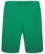 Шорти Puma teamRISE Short зелений Чол M 704942-05 фото 3