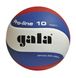 Мяч волейбольный Gala Pro-Line BV5821S BV5821S фото 3