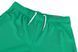 Шорти Puma teamRISE Short зелений Чол M 704942-05 фото 10