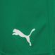 Шорти Puma teamRISE Short зелений Чол M 704942-05 фото 4