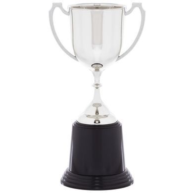 Кубок спортивный наградный SP-Sport Pluck C-851 высота 22см., золотой C-851