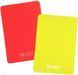Набір арбітра SELECT Referee card 820026 820026 фото 1
