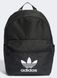 Рюкзак Adidas ADICOLOR BACKPK 21L черный Уни 12,5x30,5x42 см 00000034646 фото 1