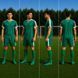 Футбольна форма X2 League (футболка+шорти), зелений/білий X2001GREE/WH фото 5