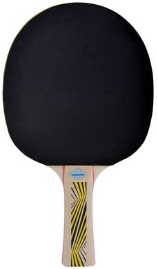 Ракетка для настільного тенісу Donic-Schildkrot Legends 500 FSC 714407
