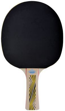 Ракетка для настільного тенісу Donic-Schildkrot Legends 500 FSC 714407S