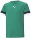 Футболка Puma teamRISE Jersey Jr зелений 116 см 704938-05 фото 1